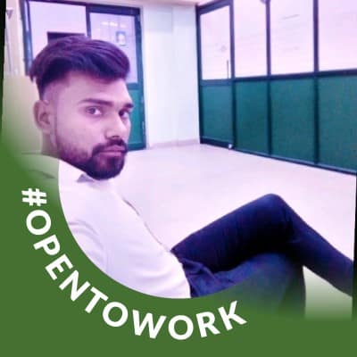 freelancing seo service owner.